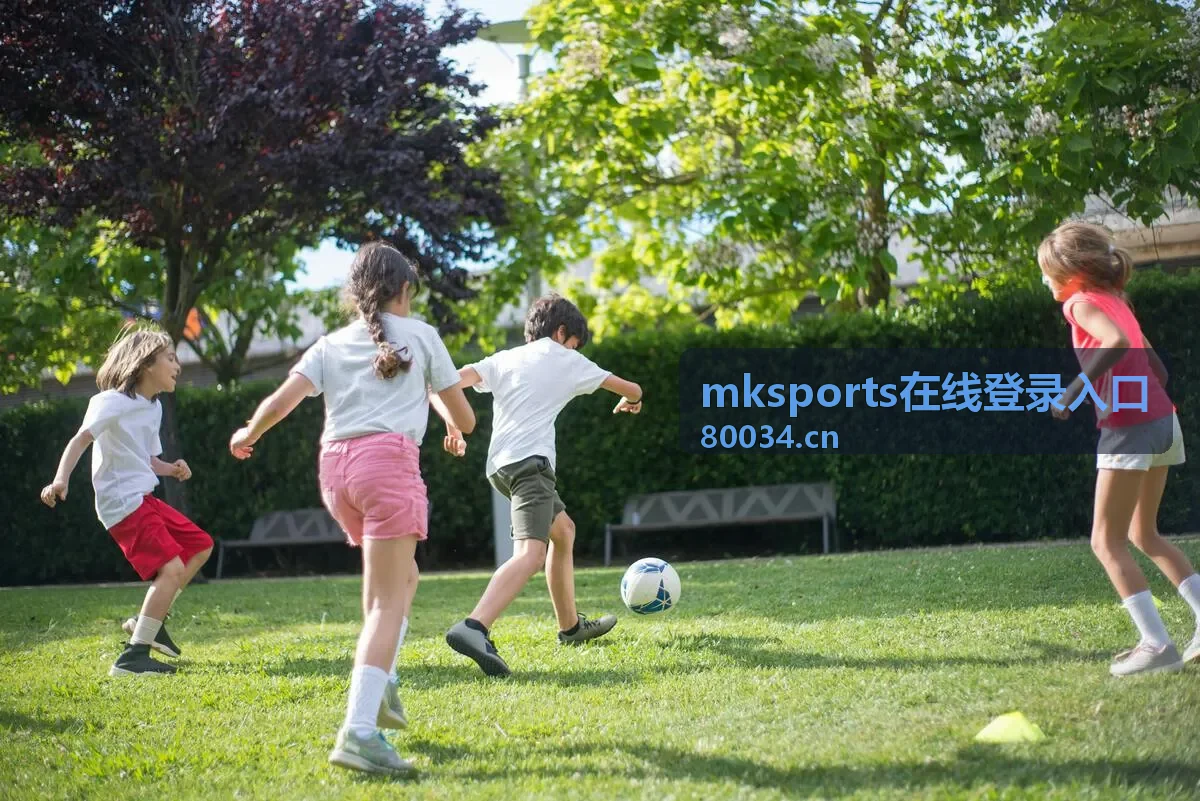 mksports在线登录入口 安全验证环节界面示意