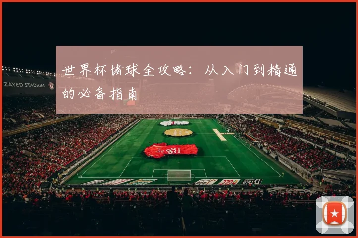 世界杯堵球全攻略：从入门到精通的必备指南