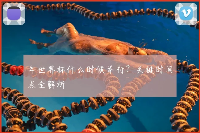 年世界杯什么时候举行？关键时间点全解析