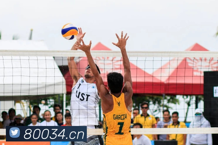 星空平台登录入口平台生态图