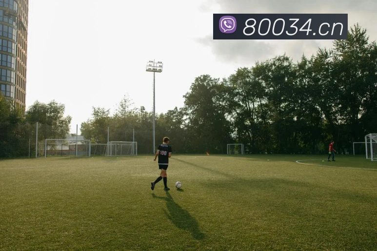 数据防护可视化